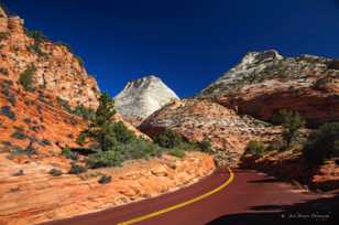 Zion Road-3964.jpg